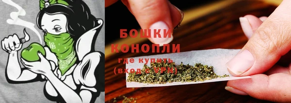 прущие крисы Ельня