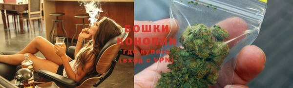 прущие крисы Ельня