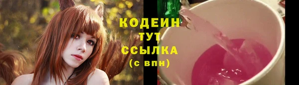 мдпв Дмитров