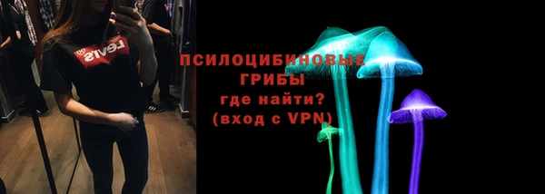 тгк Дмитровск