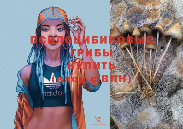 мдпв Дмитров