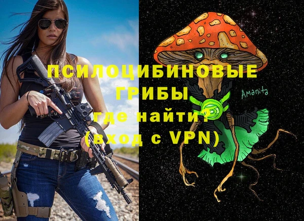 мдпв Дмитров