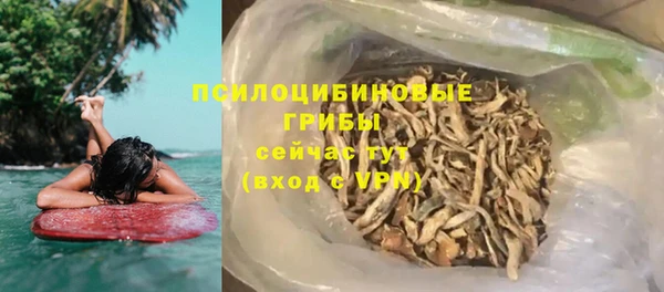 тгк Дмитровск