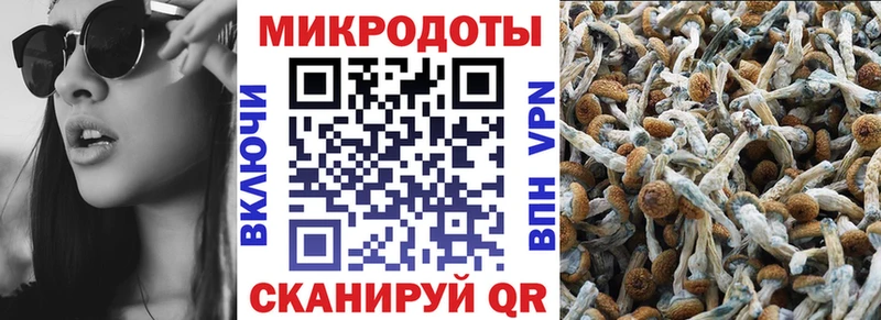 где купить наркотик  Салават  Галлюциногенные грибы Magic Shrooms 