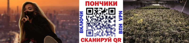 Бошки марихуана VHQ  хочу наркоту  Салават 